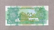 Somaliland 5.000 Schillings P.21 -