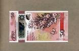 Nord-Irland Ulster Bank 50 Pounds - Polymerausgabe - -