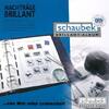 Schaubek Brillant Dänemark 1990-1999 Vordrucke 806T04B Neuware -