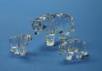    Österreich Swarovski Bären Familie Top-Zustand ( 