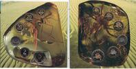 5 LITAI LITHUANIA 6 DIF BU COINS SET 0.10 - 2000 YEAR BANK MINT ISSUE MS3 -