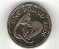  1 POUND 2006 GUERNSEY UNC  £1 COIN YEAR KM#110  42,94 EUR39,94 EUR  Excl. 8,59 EUR Verzending