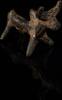   Tierfigur eines Stiers aus Bronze  350,00 EUR  Excl. 19,00 EUR Verzending