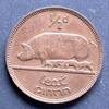 Irland 1/2 Pingin S.2 / Bro / Harfe - Hausschweine -