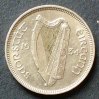 Irland S.5 / N / Harfe - Irischer Wolfshund 6 Pingin 1934 ss-vzgl