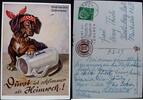 Deutschland - Bayern - München Postkarte gelaufen / München / Hofbräuhaus -