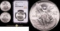 M&eacute;xico 1 Onza 1988 ENCAPSULADO Encapsulada por NGC como MS66 275,00 EUR  Excl. 15,00 EUR Verzending