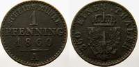 Brandenburg-Preußen Cu Pfennig Friedrich Wilhelm IV. 1840-1861. -
