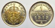 Brandenburg-Preußen Pfennig Probe in Nickel Wilhelm I. 1861-1888. -