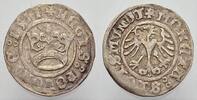 Polen Kron-Halbgroschen Sigismund I. 1506-1548. -