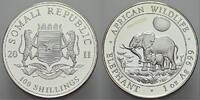 Somalia 100 Shillings Republik Somalia seit 1991. -