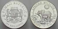 Somalia 100 Shillings Republik Somalia seit 1991. -
