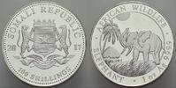 Somalia 100 Shillings Republik Somalia seit 1991. -