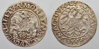 Polen-Litauen Halbgroschen Sigismund August 1544-1572. -