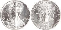 USA 1 Dollar American Eagle. -