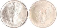 USA 1 Dollar American Eagle. -