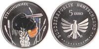 Bundesrepublik Deutschland 5 Euro Steinhummel. -