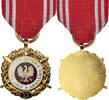 Poland Medal Forces Armées au Service de la Patrie, 20 Ans, Military -