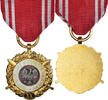 Poland Medal Forces Armées au Service de la Patrie, 20 Ans, Military -