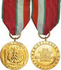Poland Medal Maintien de la Paix, WAR, Uncirculated, Gilt Bronze -