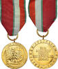 Poland Medal Maintien de la Paix, WAR, Uncirculated, Gilt Bronze -