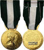 France Medal Médaille d'honneur communale, régionale et départementale -
