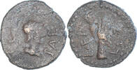 Semis Coin, Lucania, Poseidonia, Bronze, HN Italy:1250var -