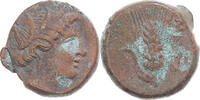 Æ Coin, Lucania, Metapontion, Bronze, HN Italy:1695 -