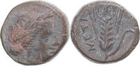 Æ Coin, Lucania, Metapontion, Bronze, HN Italy:1695 -