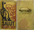 Germany Broche Salut, DDR 30, Brass -