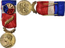 France Medaille Honneur-Travail, République Française, Palme, Excellent -