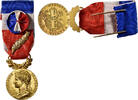 France Medaille Honneur-Travail, République Française, Palme, Excellent -