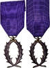 France Medal Ordre des Palmes Académiques, Excellent Quality, Silvered -