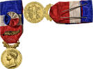 France Medal Honneur-Travail, République Française, Palme, Excellent -