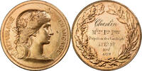 France Medaille Instruction Public, Cours d'Adulte, Bronze, Dubois.H -
