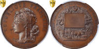France Medal Pas-de-Calais Agricultural Society, Bronze -