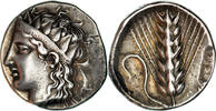 Nomos Lucania, Metapontum, Silver, NGC, HGC:1-1050 -