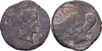 Æ Octavian & Divus Julius Caesar, Italian Mint, Bronze -