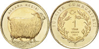 Turkey Lira Coin, Bi-Metallic -
