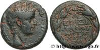 THE JULIO-CLAUDIANS (27 BC to 69 AD) Unité TIBERIUS Antioche, Syrie, Séleucie et Piérie 14-15 (26,5mm, 15,99g, 1h) -