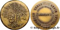 FRANCE Médaille, Meilleurs voeux, bibliothèque royale BELGIQUE - ROYAUME DE BELGIQUE - ALBERT Ier n.d. (31mm, 12,70g, 12h) -