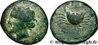 Classic 1 (480 BC to 400 BC) Tetras BRUTTIUM - TERINA Térina, Bruttium c. 350-275 AC. (16mm, 2,88g, 12h) -