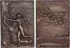 FRANCE Plaquette, Exposition Universelle Internationale EXPOSITIONS UNIVERSELLES 75 - Paris 1900 (50,5mm, 35,49g, 12h) -