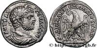 THE SEVERANS (193 AD to 235 AD) Tétradrachme syro-phénicien GETA Tyr, Phénicie 209-212 (26,5mm, 13,24g, 12h) -