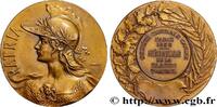FRANCE Médaille, PATRIA, Société centrale canine SOCIÉTÉ CANINE - CHIENS ET CONCOURS 1936 (49,5mm, 53,48g, 12h) -