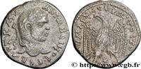 THE SEVERANS (193 AD to 235 AD) Tétradrachme syro-phénicien CARACALLA Laodicée, Syrie, Séleucie et Piérie 215-217 (27mm, 11,99g, 12h) -