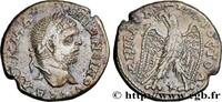 THE SEVERANS (193 AD to 235 AD) Tétradrachme syro-phénicien CARACALLA Laodicée, Syrie, Séleucie et Piérie 215-217 (25,5mm, 12,75g, 12h) -