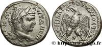 THE SEVERANS (193 AD to 235 AD) Tétradrachme syro-phénicien CARACALLA Laodicée, Syrie, Séleucie et Piérie 215-217 (26mm, 14,14g, 12h) -