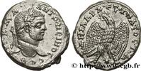 THE SEVERANS (193 AD to 235 AD) Tétradrachme syro-phénicien CARACALLA Laodicée, Syrie, Séleucie et Piérie 215-217 (27mm, 13,38g, 12h) -