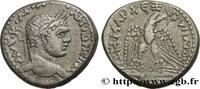 THE SEVERANS (193 AD to 235 AD) Tétradrachme syro-phénicien CARACALLA Séleucie, Syrie, Séleucie et Pierie 215-217 (24mm, 13,01g, 6h) -